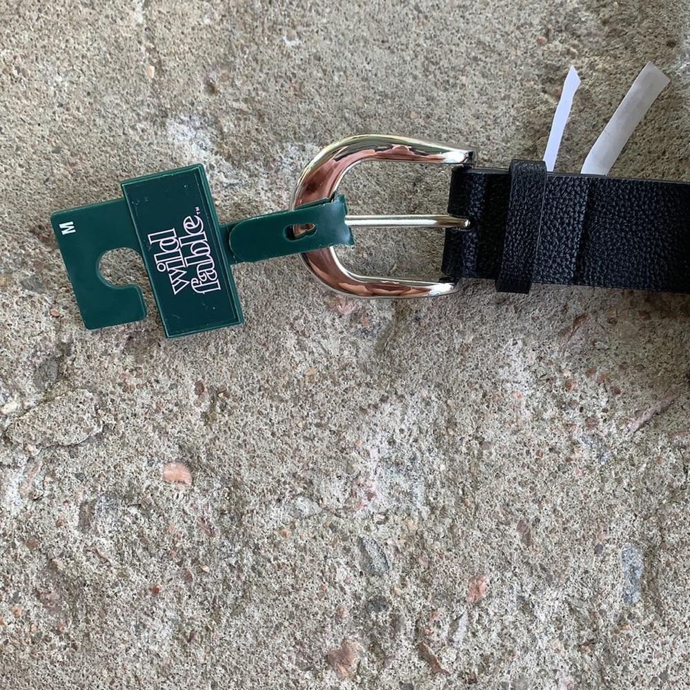 Belt - Picture 5 of 10